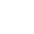 Zontes